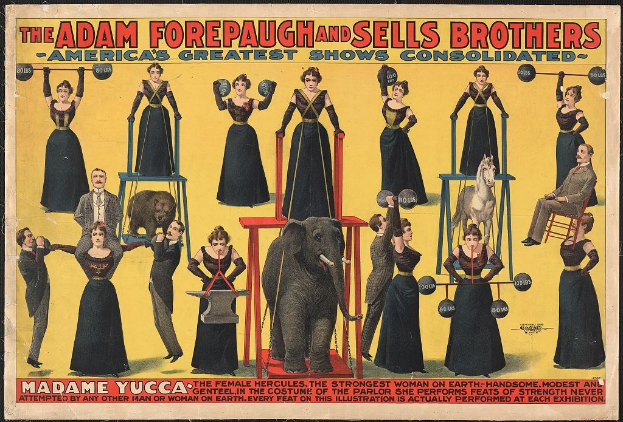 Plakat für Adam Forepaugh und Sells Brothers, Americas Greatest Shows Consolidated, das performer auf Hockern mit einem Elefanten in der Mitte und Text zeigt.
