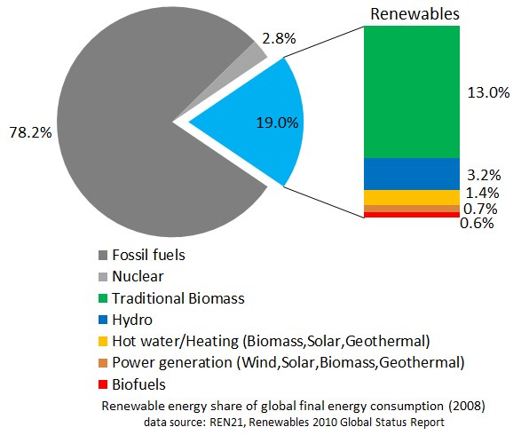Tortendiagramm, das den globalen erneuerbaren Energieverbrauch im Jahr 2008 zeigt, aufgeschlüsselt nach Quellen wie fossile Brennstoffe, Kernenergie, Wasserkraft, Warmwasser, Heizung, Biomasse, Solarenergie, Geothermie und Biokraftstoffe.