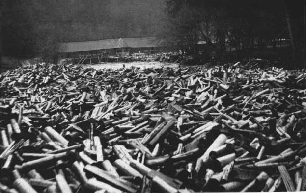 Ein Schwarz-Weiß-Foto von einem großen Haufen Patronen im Vordergrund, mit einer Hütte und Bäumen im Hintergrund und dem Text "Zweiter Weltkrieg" unten.