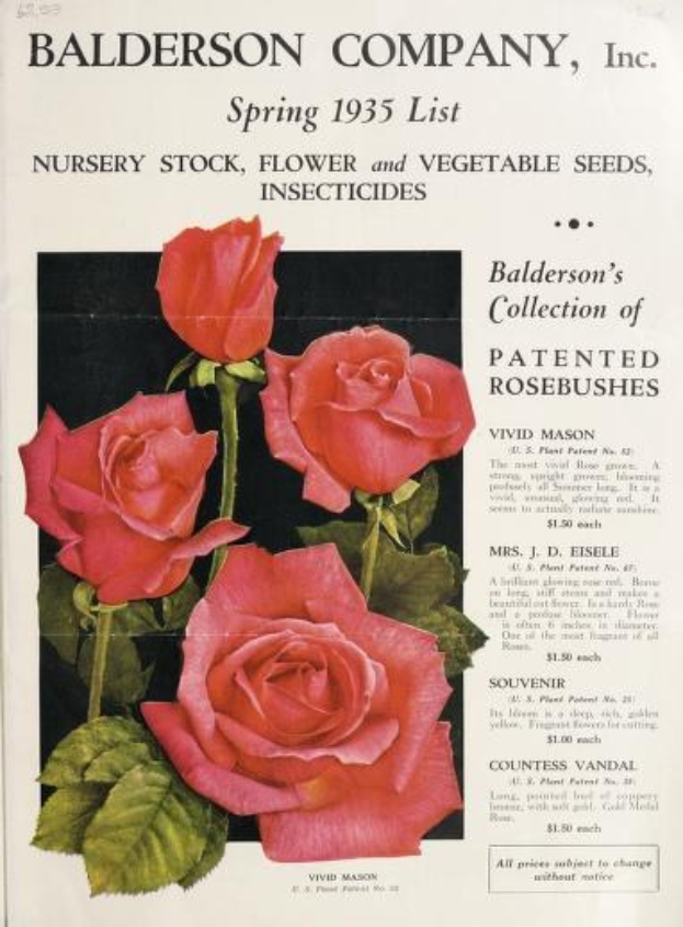 Papier aus dem Frühjahrskatalog 1935 der Baldwin Company, Inc. mit pinken Rosen und Blättern und einer Liste von Zierpflanzen, Samen und Insektiziden.
