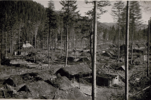 Schwarzes und weißes Foto eines kleinen Dorfes im Wald mit Bäumen, Hütten und Bergen im Hintergrund, mit Text unten.