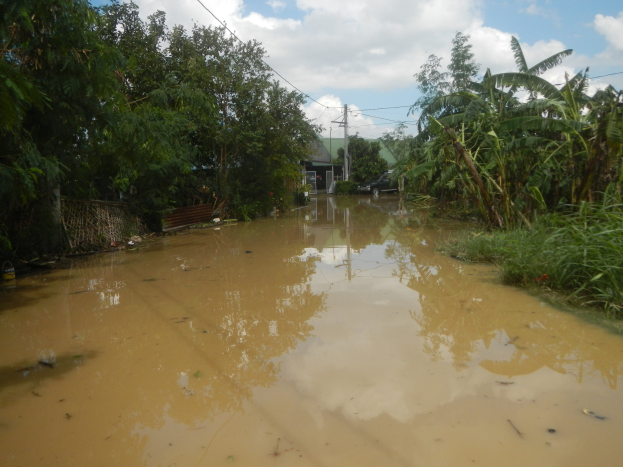 Eine überschwemmte ländliche Straße mit Wasser, das die Straße bedeckt, Pflanzen und Bäumen auf beiden Seiten, einem geparkten Auto auf der rechten Seite und Häusern, Strommasten und Drähten im Hintergrund unter einem bewölkten Himmel.