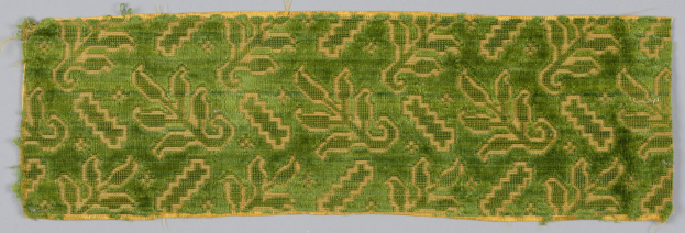 Algacore-Projekt des Fachbereichs Textil- und Bekleidungstechnologie an der Niederrhein Universität der angewandten Wissenschaften - Bekleidung aus Algen in der Zukunft?