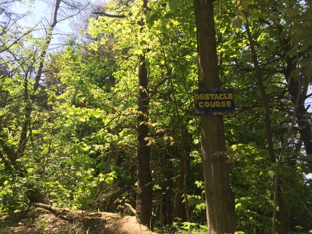 Ein Schotterweg in einem bewaldeten Gebiet, der von einem hölzernen Schild mit der Aufschrift "Hindernislauf" markiert ist, mit Bäumen auf beiden Seiten und einem Blick auf den Himmel darüber.