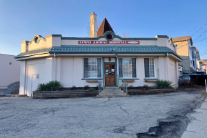 Äußenansicht der Lewis Animal Hospital in San Francisco, mit einem Fenster- und Tür-habenden Gebäude, umgeben von Pflanzen, Treppen mit Geländern, einem Schild an einem Pfahl, geparkten Fahrzeugen, sichtbarem Himmel und öffentlichen Kabeln.
