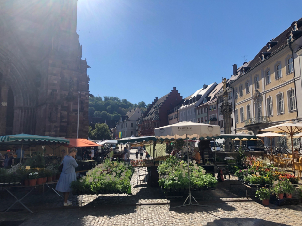 Ein belebter Markt im historischen Zentrum von Heidelberg mit Menschen an Tischen mit Blumentöpfen und Schirmen, umgeben von Gebäuden, Bäumen und einem klaren blauen Himmel.